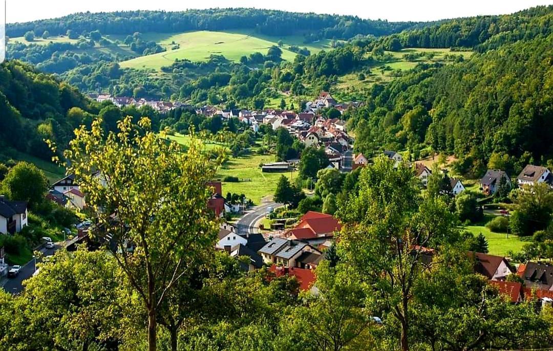 Geishoehe Landgasthof Rose Dammbach 외부 사진